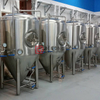 Satılık 1000L Anahtar Teslim Bira Fabrikası Customzied Bira Bira Ekipman Fermantasyon Makinesi