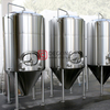 10BBL Endüstriyel Kullanılan Bira Üretim Bira Ekipmanları Fermantasyon Bira Makinesi için Satış